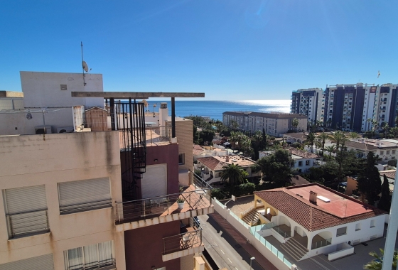 Resale - Penthouse - Torrevieja - Punta Prima