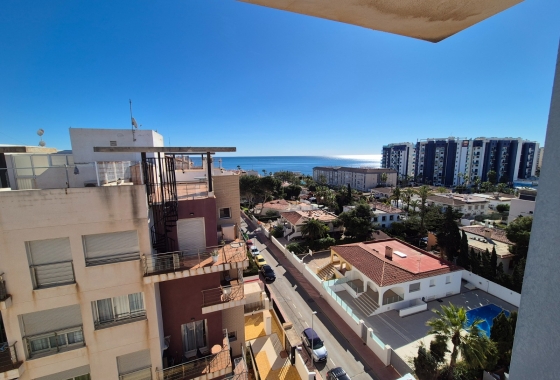 Resale - Penthouse - Torrevieja - Punta Prima