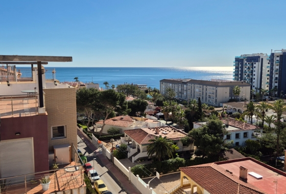 Resale - Penthouse - Torrevieja - Punta Prima