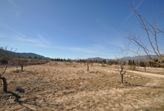 Resale - Villa - Salinas - Inland