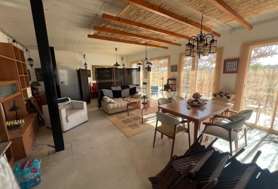 Resale - Finca - Los Montesinos - Comunidad Valenciana