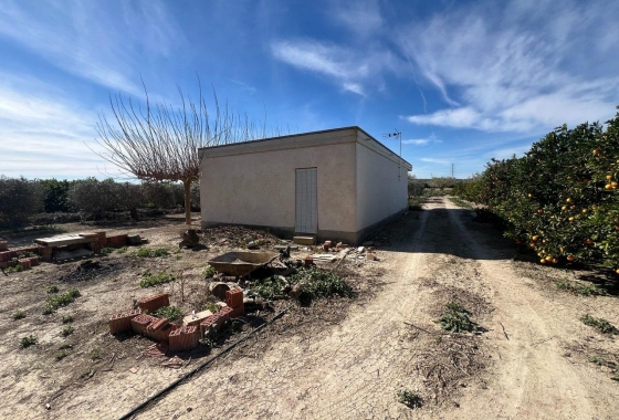 Resale - Finca - Los Montesinos - Comunidad Valenciana