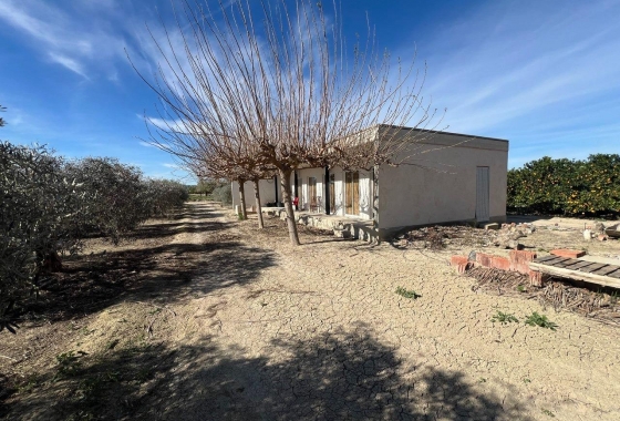 Resale - Finca - Los Montesinos - Comunidad Valenciana