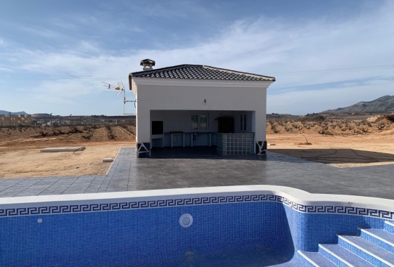 Новостройка - Дом - Pinoso