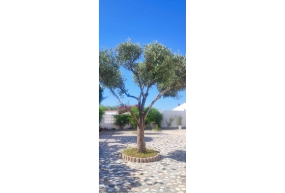 Resale - Chalet - Rojales - Ciudad Quesada