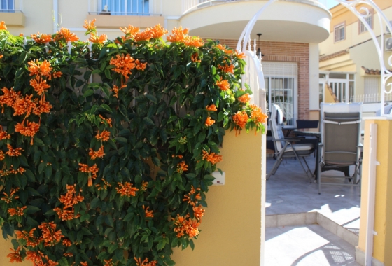 Resale - Townhouse - Orihuela Costa - Costa Blanca