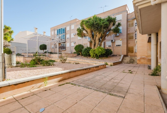 Resale - Apartment / flat - San Miguel de Salinas - Inland