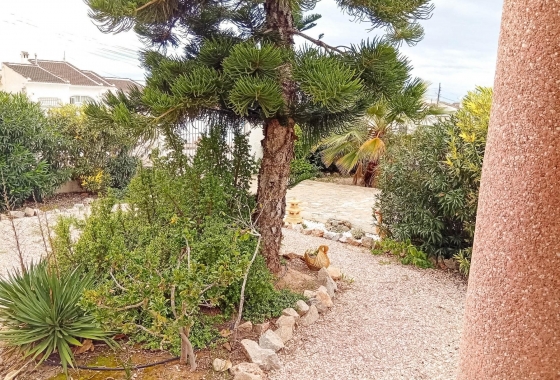 Resale - Villa - Torrevieja - La Siesta - El Salado - Torreta