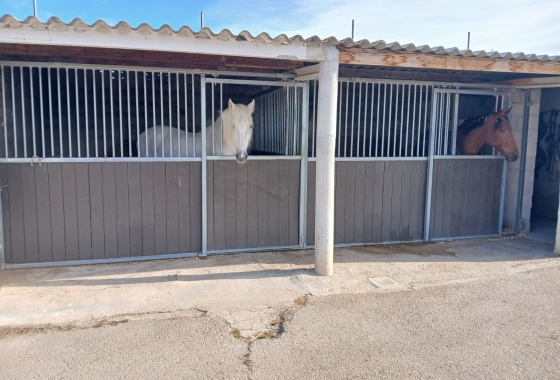 Resale - Finca - Monóvar/Monóver - Inland