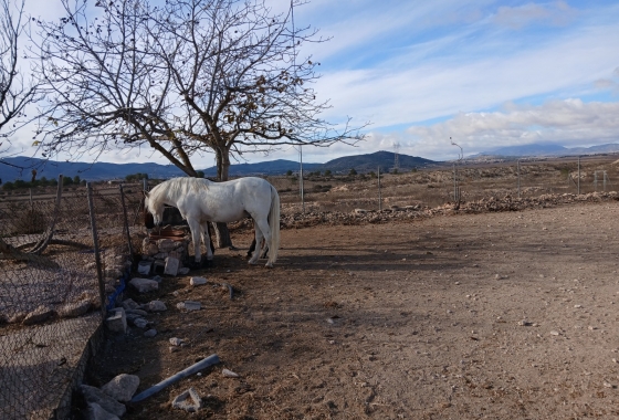 Resale - Finca - Monóvar/Monóver - Inland