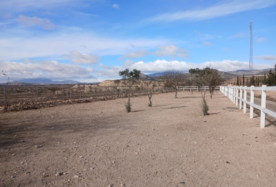 Resale - Finca - Monóvar/Monóver - Inland