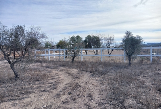 Resale - Finca - Monóvar/Monóver - Inland