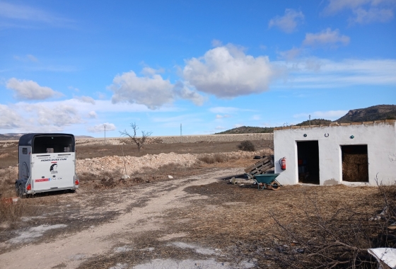 Resale - Finca - Monóvar/Monóver - Inland