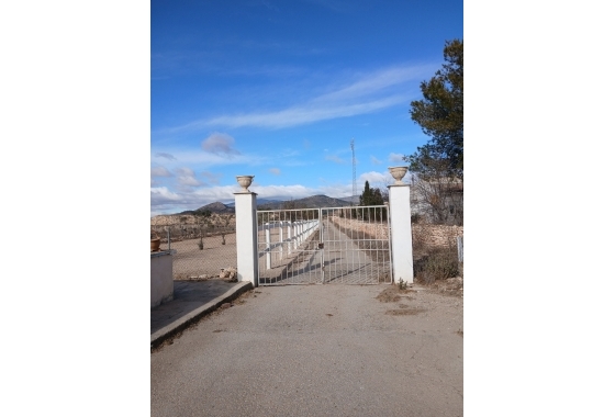 Resale - Finca - Monóvar/Monóver - Inland