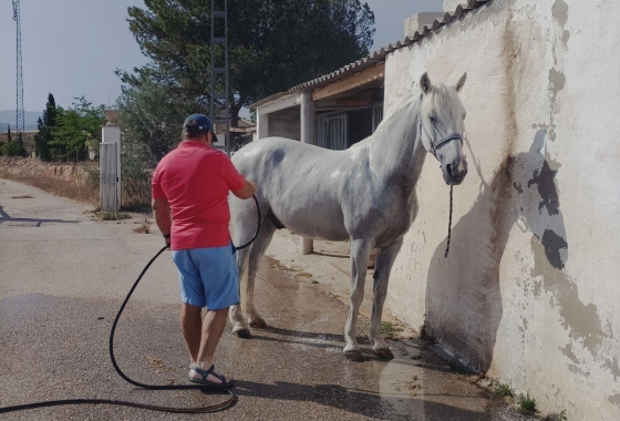 Resale - Finca - Monóvar/Monóver - Inland