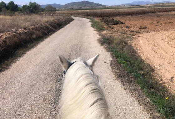 Resale - Finca - Monóvar/Monóver - Inland