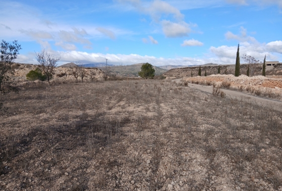 Resale - Finca - Monóvar/Monóver - Inland