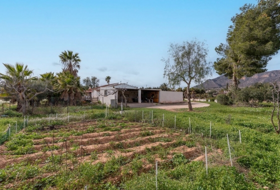 Resale - Villa - Hondón de las Nieves - Inland