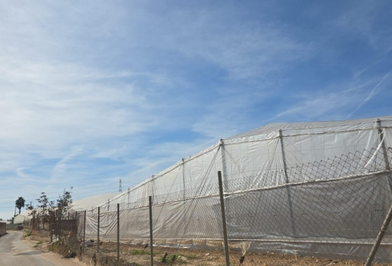 Reventa - Finca - Pilar de la Horadada