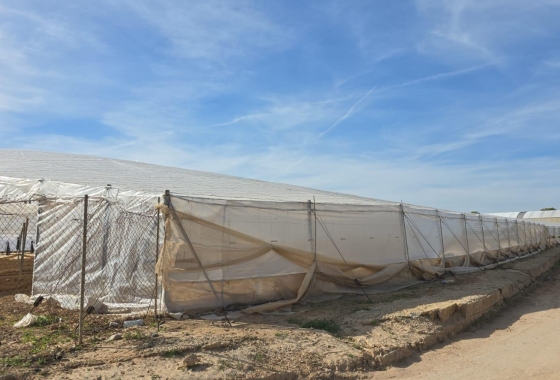 Reventa - Finca - Pilar de la Horadada