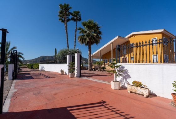 Återförsäljning - Finca - Orihuela