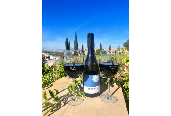 Återförsäljning - Villa - Algorfa - Inland