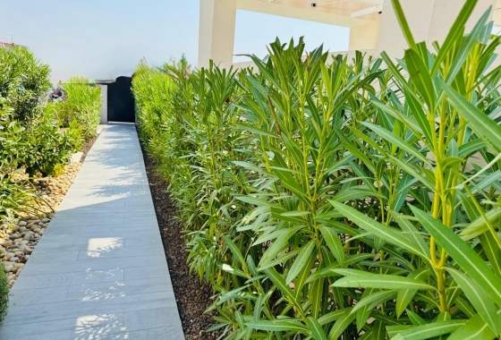 Återförsäljning - Villa - Algorfa - Club De Golf La Finca