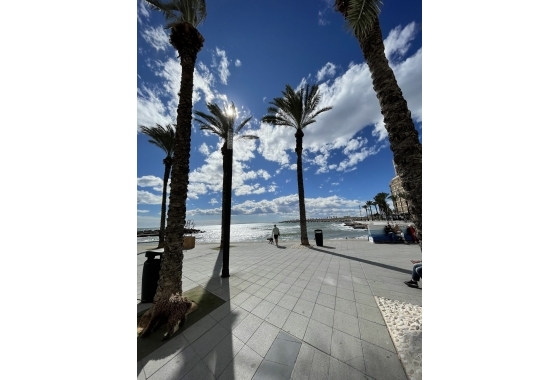 Wiederverkauf - Penthouse - Torrevieja - Playa de cura
