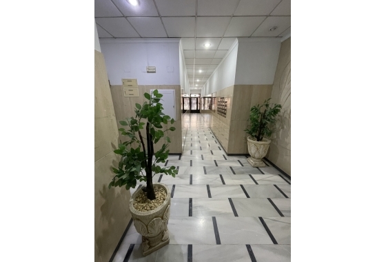 Wiederverkauf - Penthouse - Torrevieja - Playa de cura