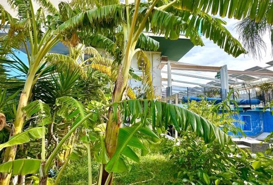 Reventa - Apartamento / piso - Finestrat