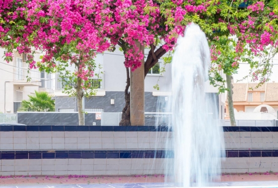 Resale - Apartment / flat - Torrevieja - Estacion De Autobuses