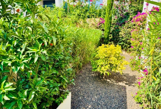 Resale - Villa - Algorfa - Club De Golf La Finca