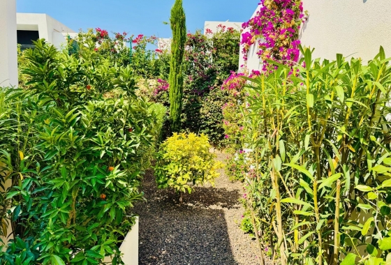 Resale - Villa - Algorfa - Club De Golf La Finca