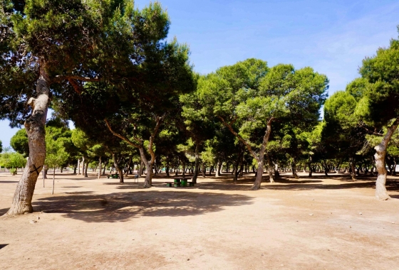 Herverkoop - Appartement / flat - Santiago de la Ribera - Santiago De La Ribera