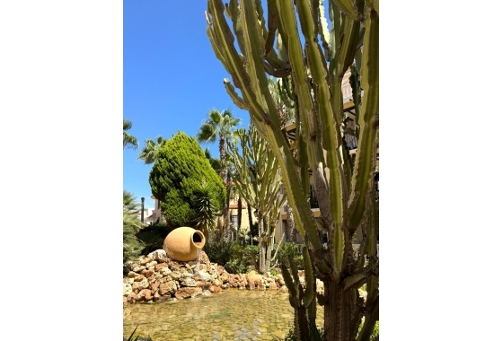 Resale - Penthouse - Torrevieja - Los Frutales