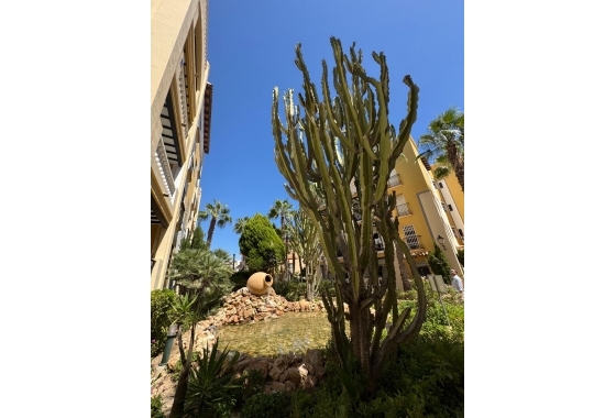 Resale - Penthouse - Torrevieja - Los Frutales