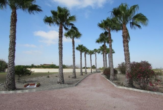 Resale - Finca - Dolores - Comunidad Valenciana