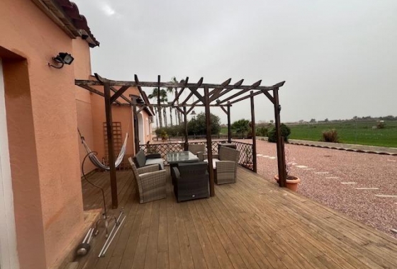 Resale - Finca - Dolores - Comunidad Valenciana