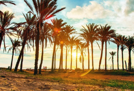 Återförsäljning - Lägenhet / lägenhet - Orihuela Costa