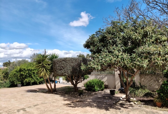 Återförsäljning - Finca - El Palmar
