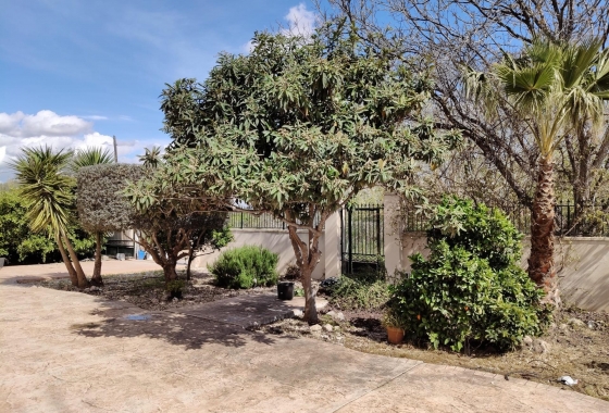 Återförsäljning - Finca - El Palmar