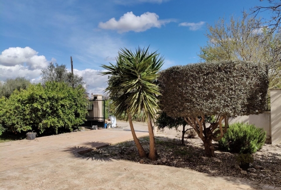 Återförsäljning - Finca - El Palmar