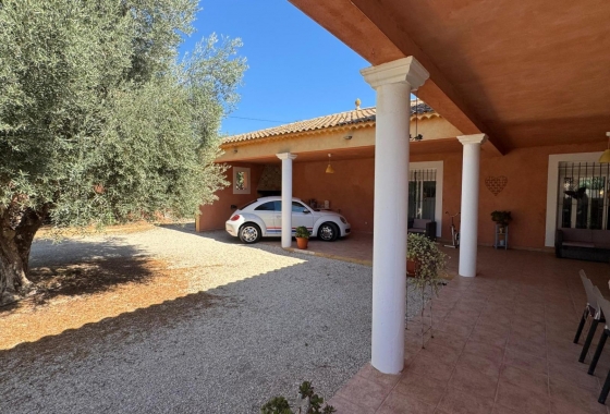 Resale - Finca - Albatera - Inland