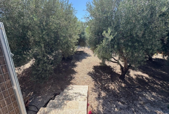 Resale - Finca - Albatera - Inland