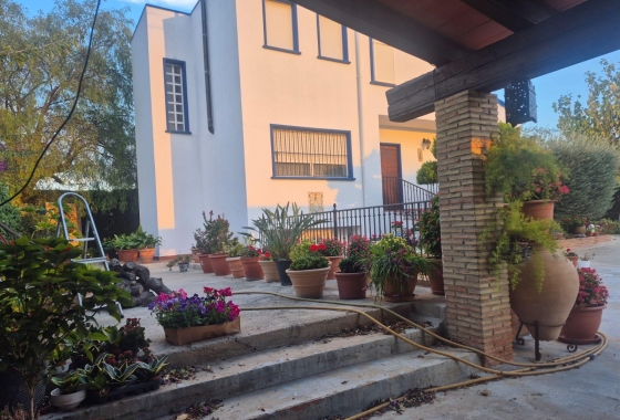 Resale - Finca - Orihuela - Casco Histórico