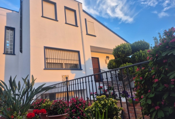 Resale - Finca - Orihuela - Casco Histórico