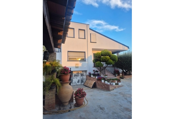 Resale - Finca - Orihuela - Casco Histórico