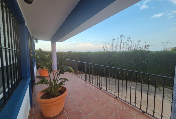 Resale - Finca - Orihuela - Casco Histórico