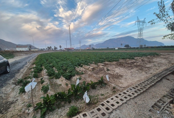 Resale - Finca - Orihuela - Casco Histórico
