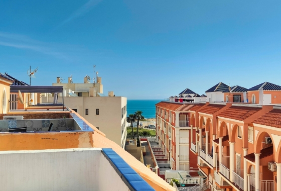 Resale - Penthouse - Torrevieja - Costa Blanca